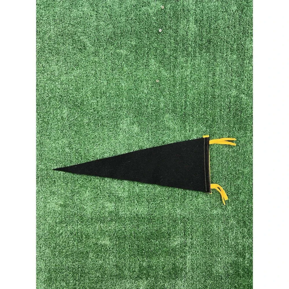 Southwestern University Pennant  Non Quis Sed Quid Georgetown, Texas